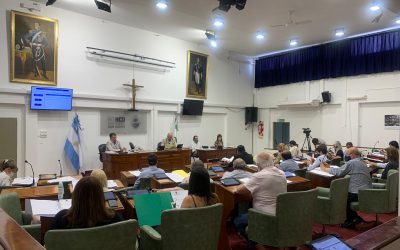 EL HCD DE SAN ISIDRO EXPRESÓ SU PESAR POR LA MUERTE DE LA NAIR AMUEDO, MADRE DE PLAZA DE MAYO – LINEA FUNDADORA